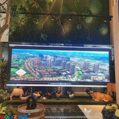 廣西農(nóng)墾大夏p2全彩 20平米